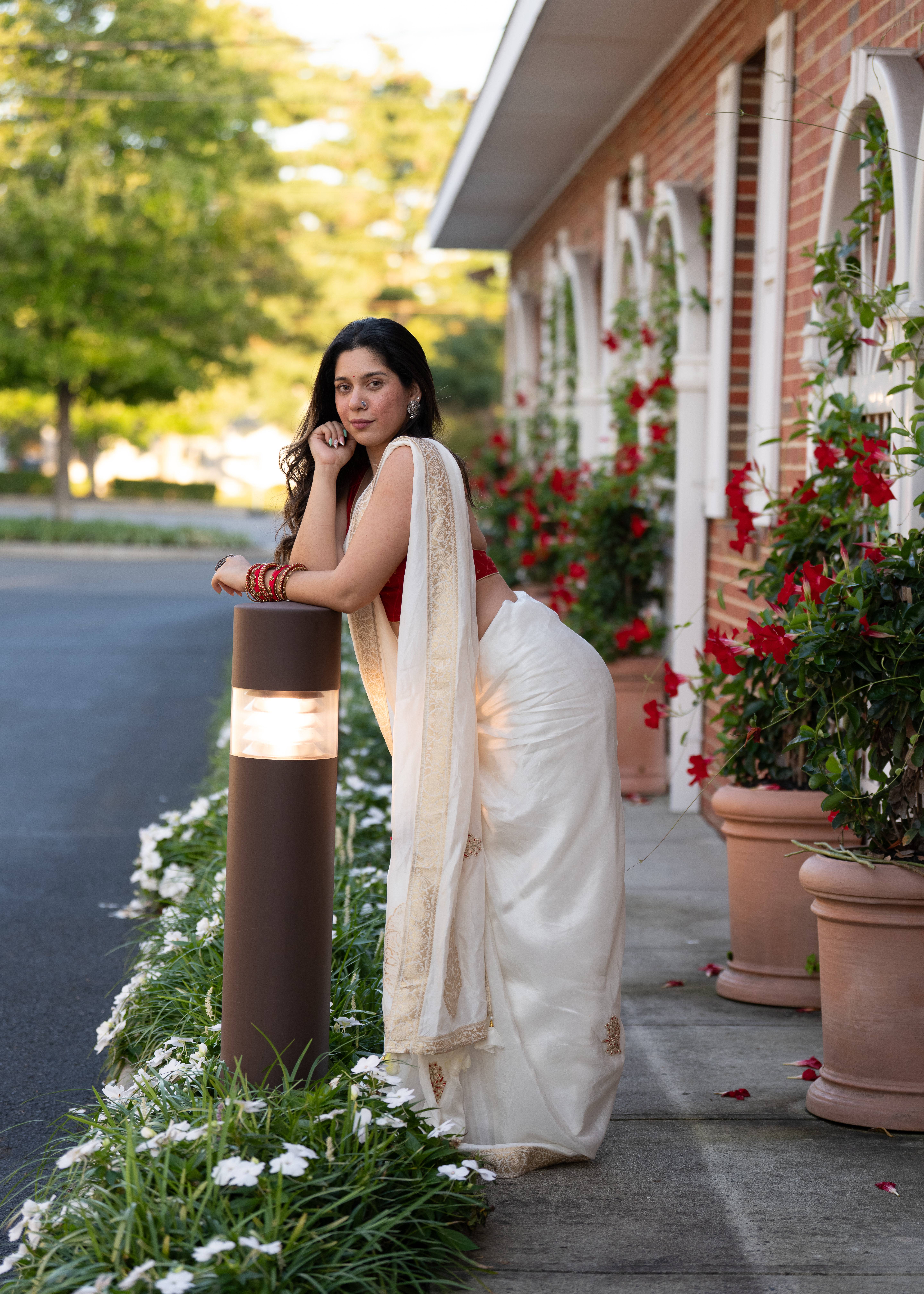 Ivory Zari Border Sari with Red Blouse Image - 3