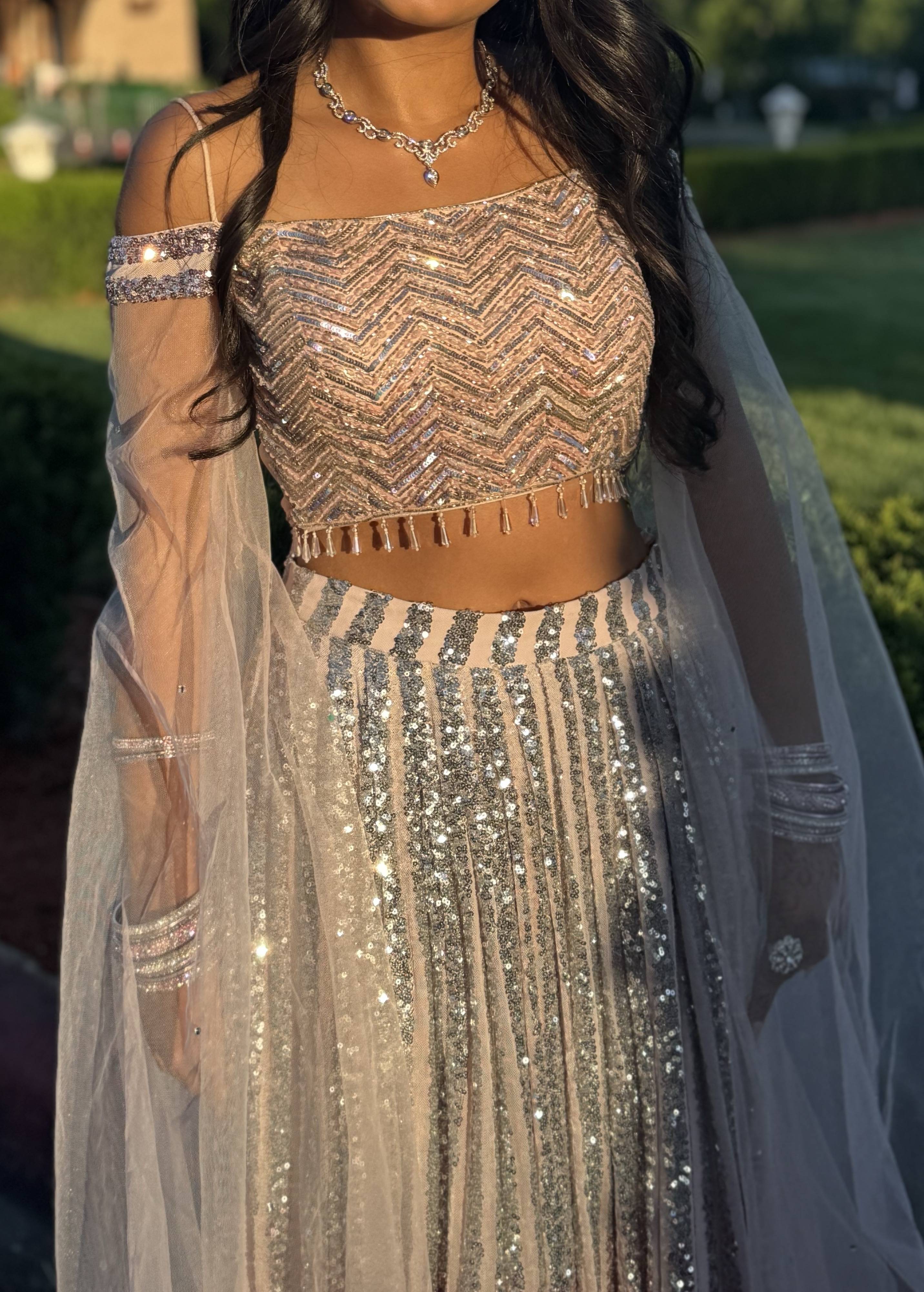 Blush Ombré Sequin Lehenga Set -  Image - 1