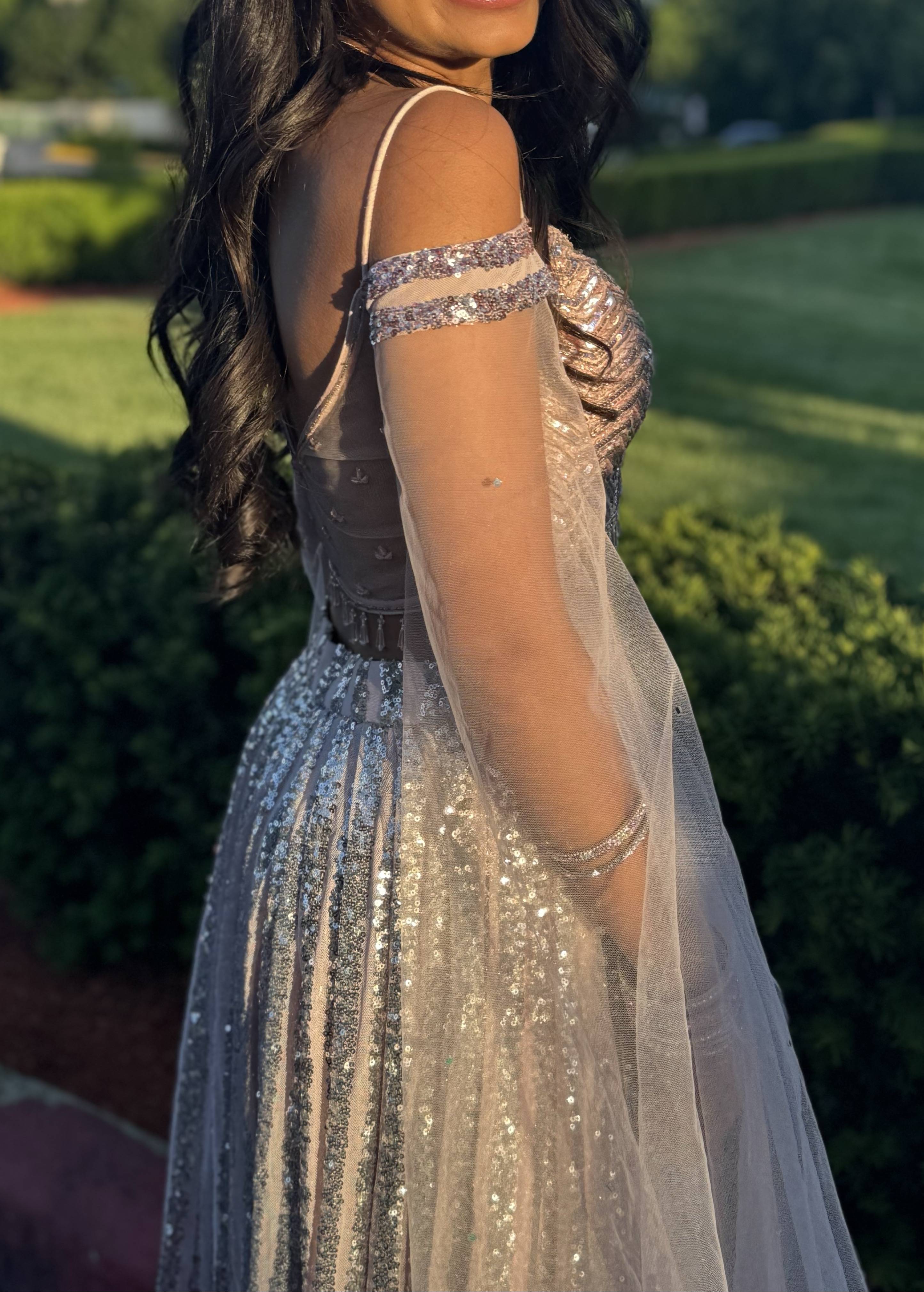 Blush Ombré Sequin Lehenga Set -  Image - 2
