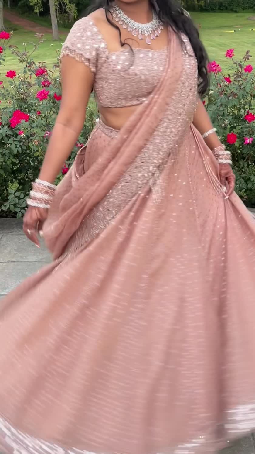 Vvani by Vani Vats Blush Mirror-Work Organza Lehenga Set Image - 4