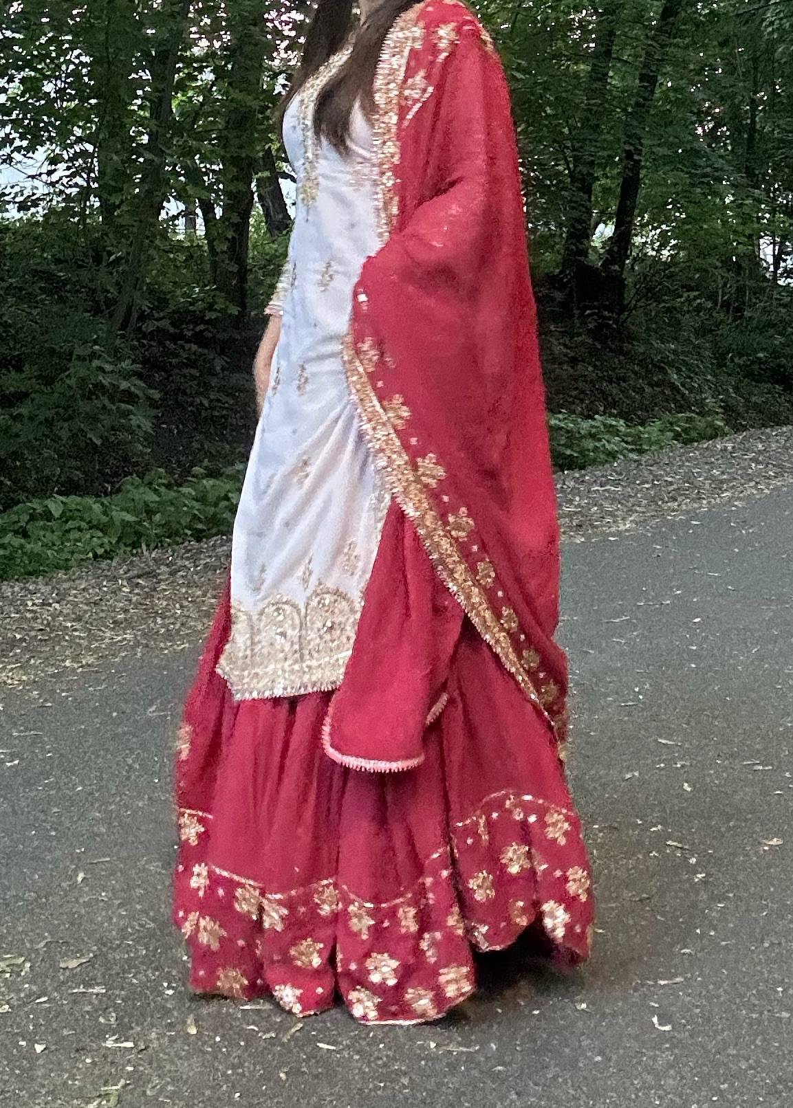 Cream and Red Embroidered Lehenga Image - 1