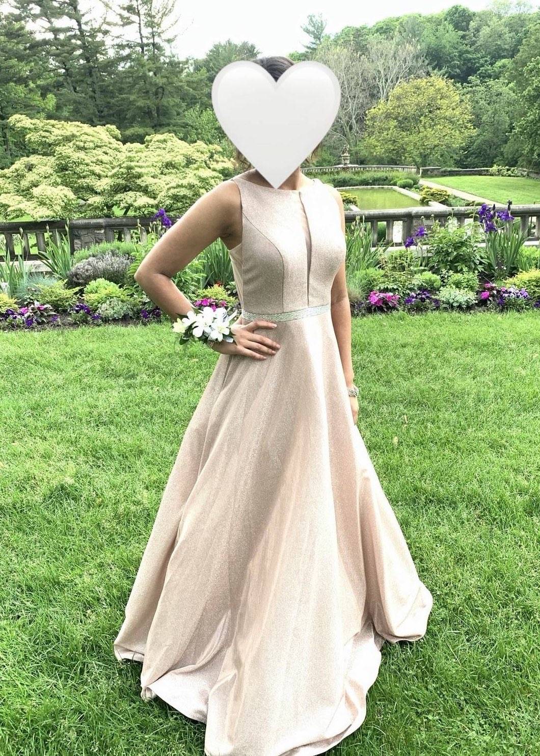 Blush Pink Shimmer Gown Image - 0