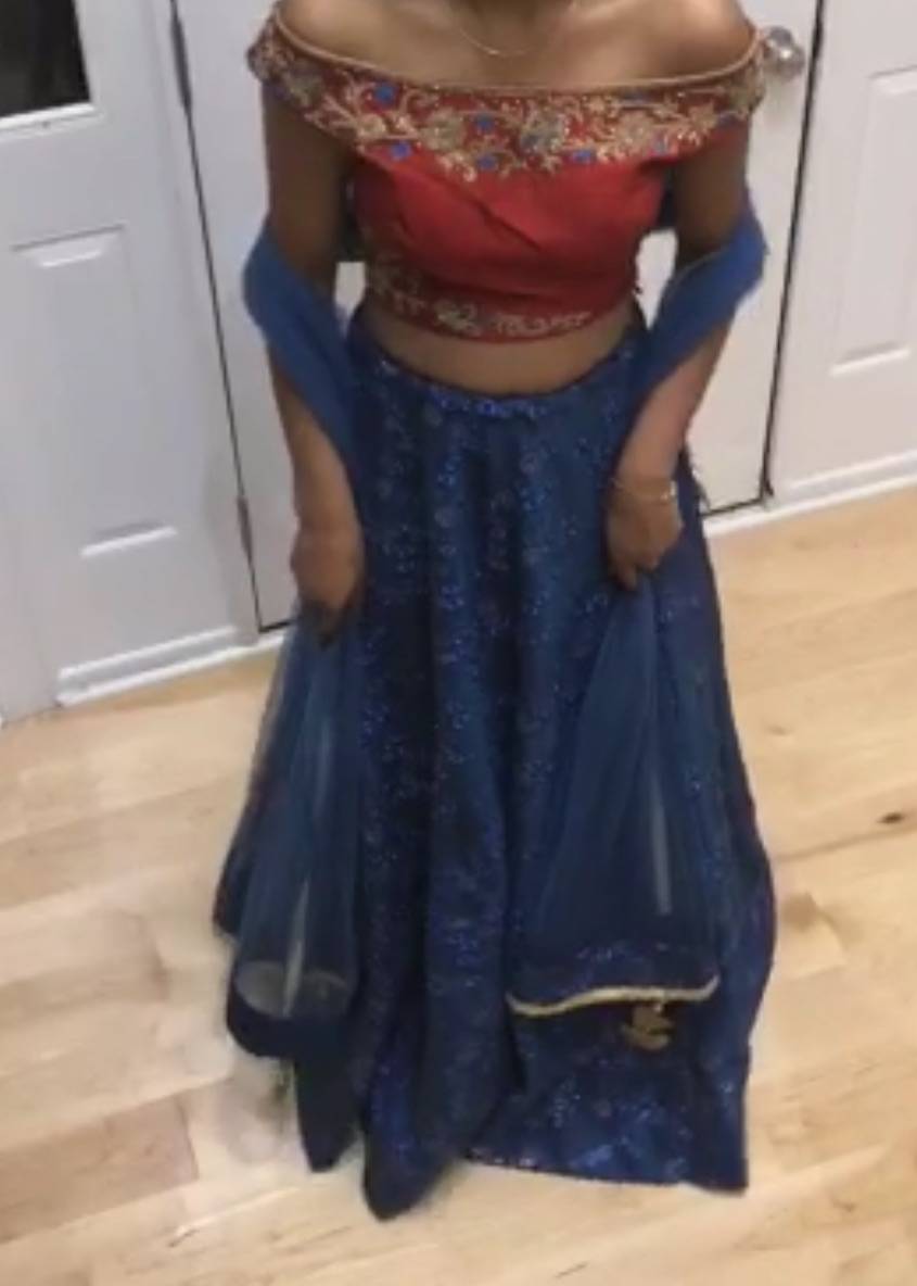 Blue Embroidered Lehenga with Red Blouse Image - 2