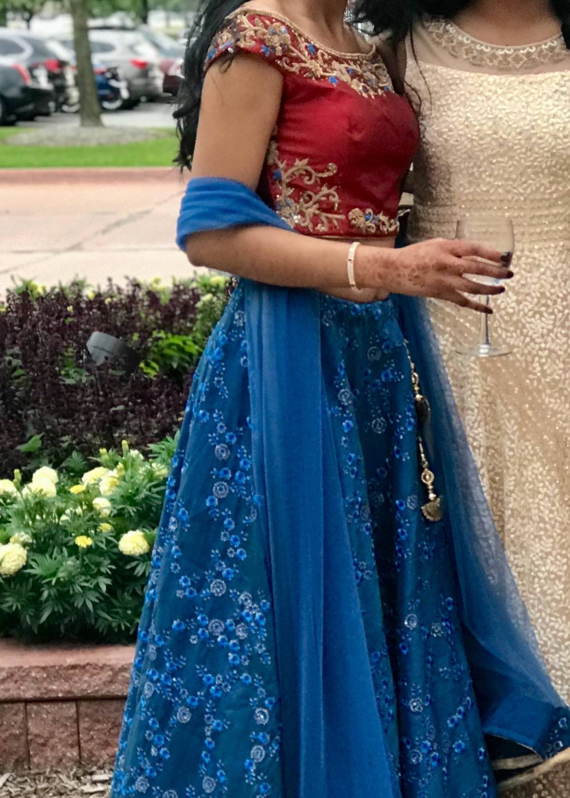 Blue Embroidered Lehenga with Red Blouse Image - 1