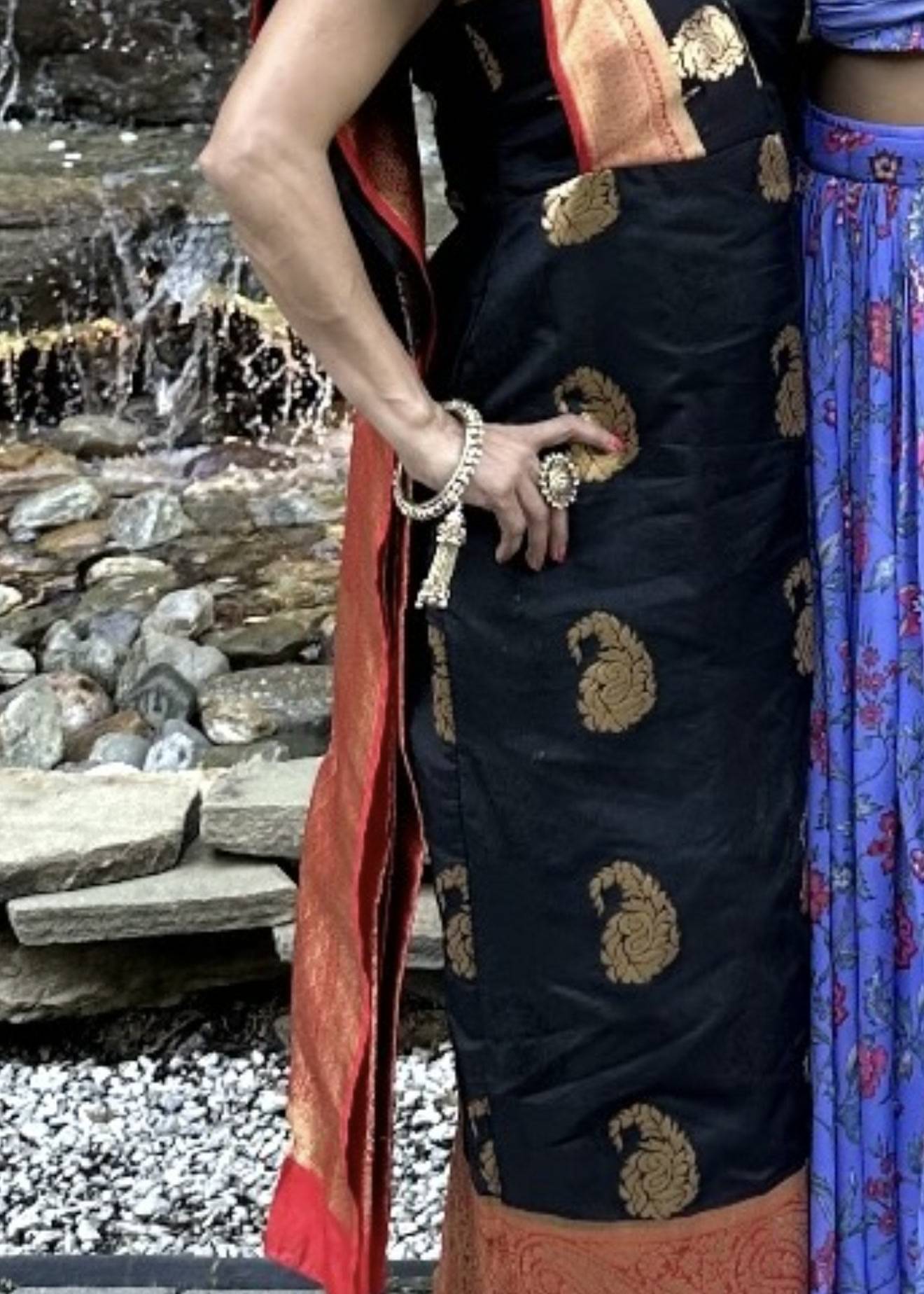 Black and Gold Zari Sari Image - 1