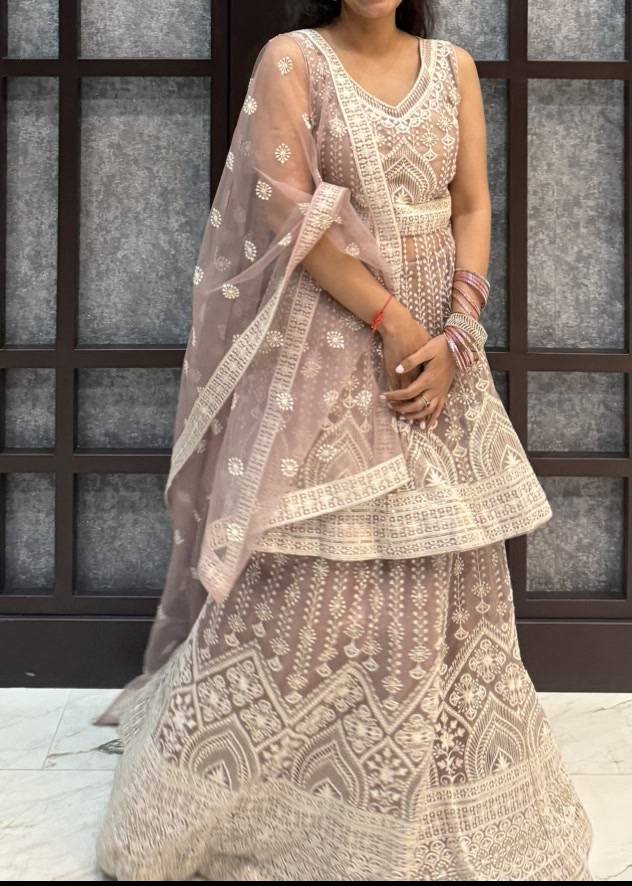 Blush Net Embroidered Lehenga Set Image - 0