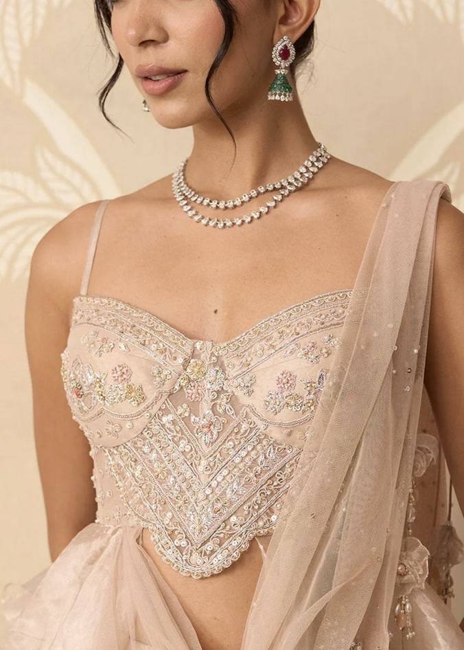 Blush Nude Pre-Draped Tissue Sari Image - 2